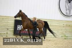 22BUCK_04120 thumbnail