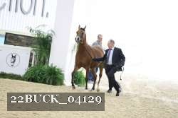 22BUCK_04129 thumbnail
