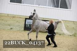 22BUCK_04137 thumbnail