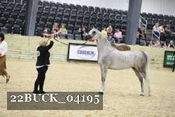 22BUCK_04195 thumbnail