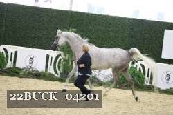 22BUCK_04201 thumbnail