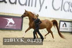 22BUCK_04233 thumbnail