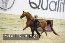 22BUCK_04234 thumbnail