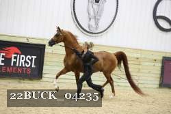 22BUCK_04235 thumbnail