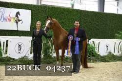 22BUCK_04237 thumbnail