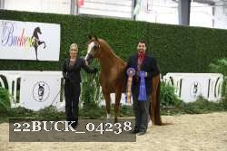22BUCK_04238 thumbnail