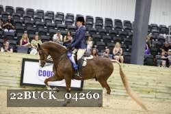 22BUCK_04260 thumbnail