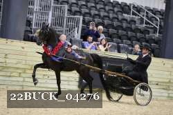 22BUCK_04276 thumbnail