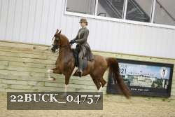 22BUCK_04757 thumbnail