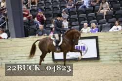 22BUCK_04823 thumbnail