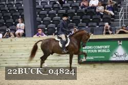 22BUCK_04824 thumbnail