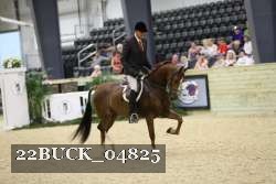 22BUCK_04825 thumbnail