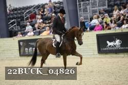 22BUCK_04826 thumbnail