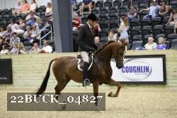 22BUCK_04827 thumbnail