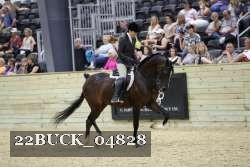 22BUCK_04828 thumbnail