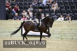 22BUCK_04829 thumbnail