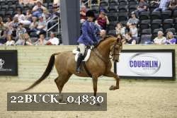 22BUCK_04830 thumbnail