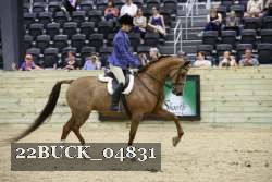 22BUCK_04831 thumbnail