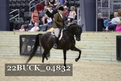 22BUCK_04832 thumbnail