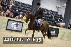 22BUCK_04835 thumbnail