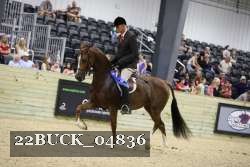 22BUCK_04836 thumbnail
