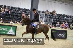 22BUCK_04837 thumbnail