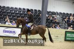 22BUCK_04839 thumbnail