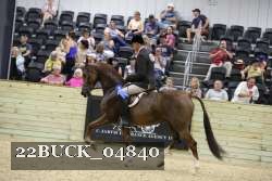 22BUCK_04840 thumbnail