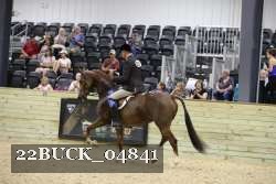 22BUCK_04841 thumbnail