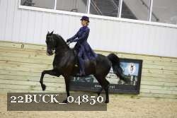 22BUCK_04850 thumbnail