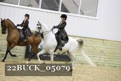 22BUCK_05079 thumbnail