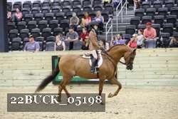22BUCK_05198 thumbnail