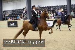 22BUCK_05326 thumbnail