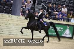22BUCK_05346 thumbnail