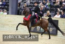 22BUCK_05467 thumbnail