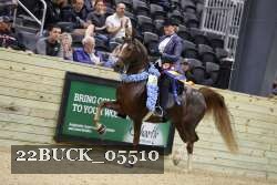 22BUCK_05510 thumbnail