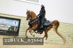 22BUCK_05669 thumbnail