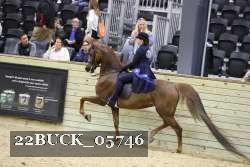 22BUCK_05746 thumbnail