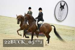 22BUCK_05771 thumbnail