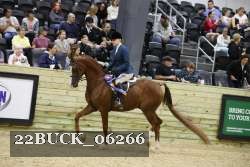 22BUCK_06266 thumbnail