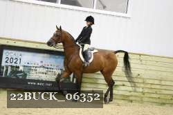 22BUCK_06352 thumbnail