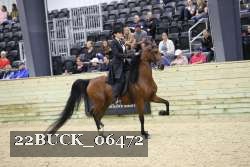 22BUCK_06472 thumbnail