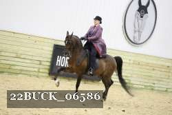 22BUCK_06586 thumbnail