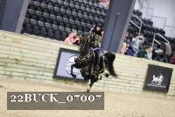 22BUCK_07007 thumbnail