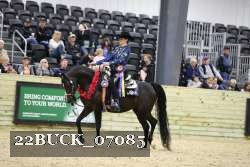 22BUCK_07085 thumbnail