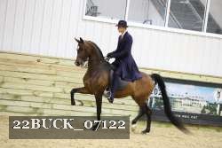 22BUCK_07122 thumbnail