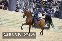 22BUCK_07166 thumbnail