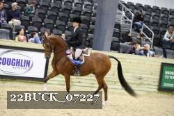 22BUCK_07227 thumbnail