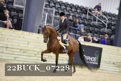 22BUCK_07228 thumbnail