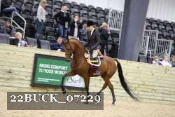22BUCK_07229 thumbnail